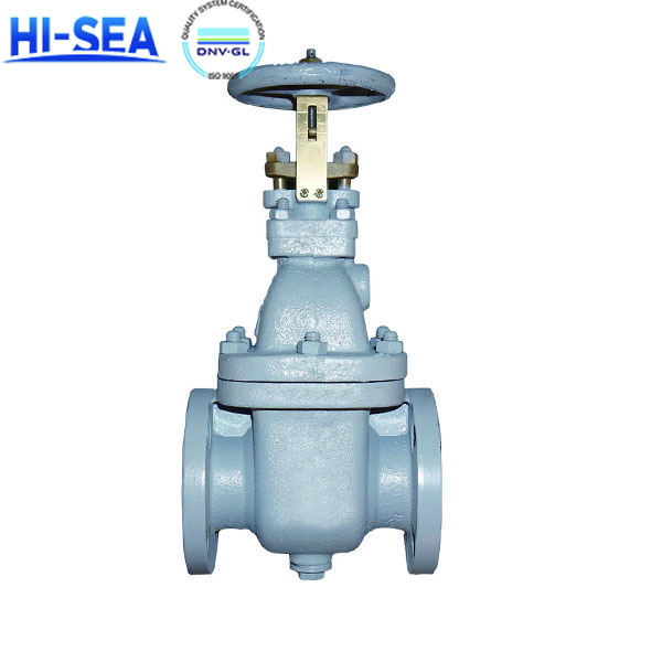 What is Marine Gate Valve?